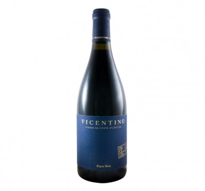 Vicentino Pinot Noir 2015 Tinto 0.75L