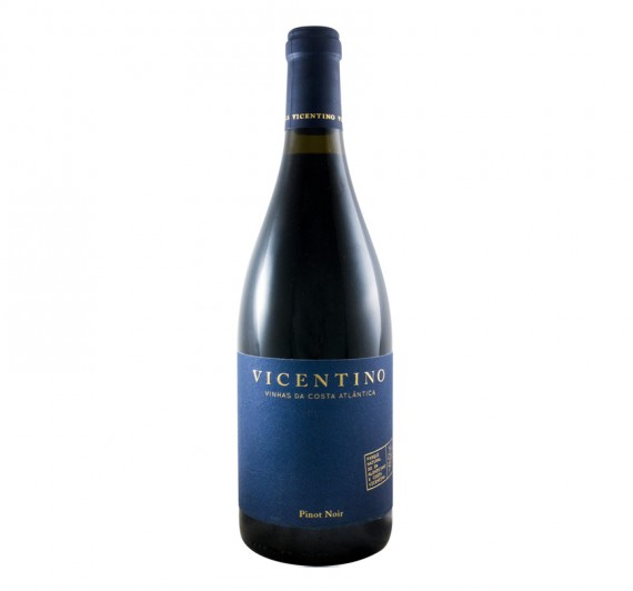 Vicentino Pinot Noir 2015 Tinto 0.75L