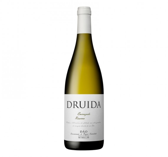 Druida Encruzado Reserva 2014 Branco 0.75L